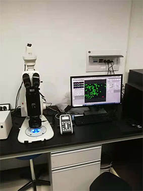 Application of MSHOT fluorescent illuminator in Institute of Botany, Chinese Academy of Sciences