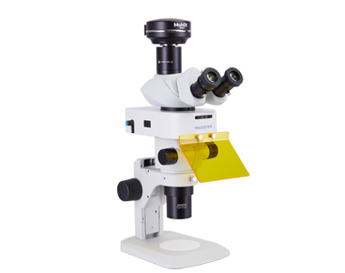 Stereo-fluorescence microscope MZX81