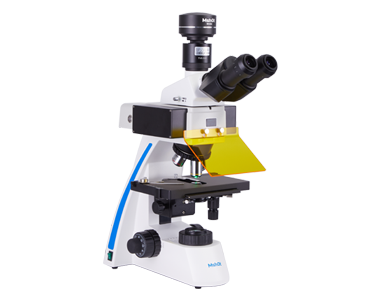 Fluorescence microscope MF31