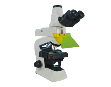 Fluorescence microscope MF23