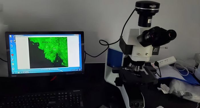 Fluorescence microscope equivalent to Olympus BX  MF43-N(LED)