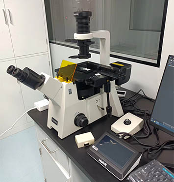 Mshot Inverted Fluorescence Microscope for Live Cell Research - Field of mRNA Recombination