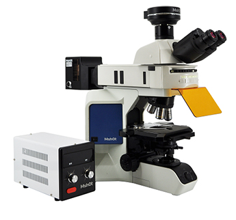 Research level fluorescence microscope MF43-N.jpg