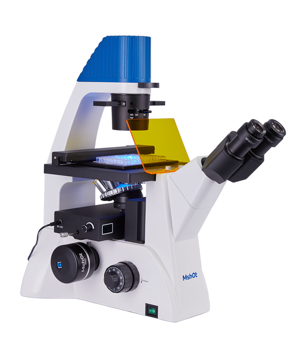 Inverted Fluorescence Microscope MF52-N – Fluorescence and Biological ...