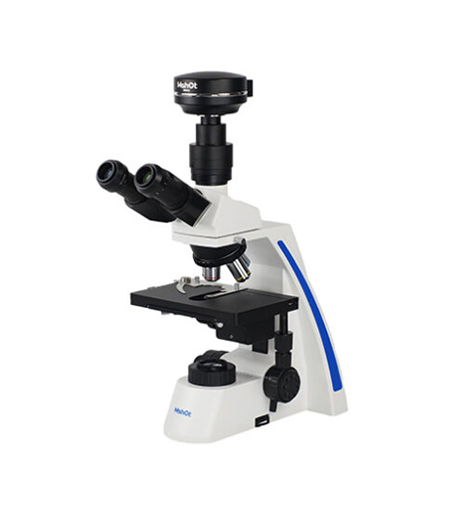 Biological Microscope ML31