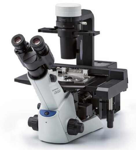 Olympus CKX53 mercury base