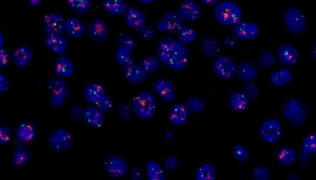Fluorescence application2