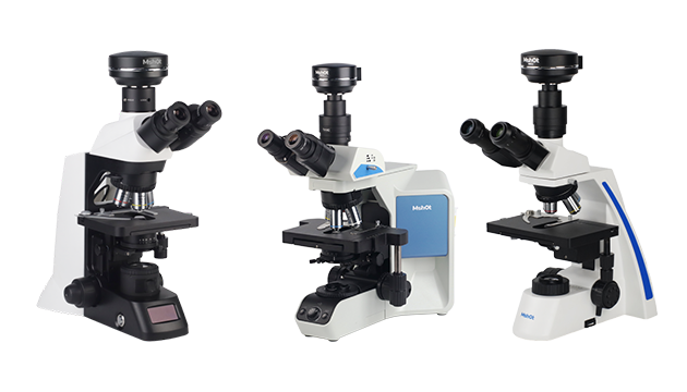 Microscopy Applications in Occupational Health Laboratories at CDC solution02