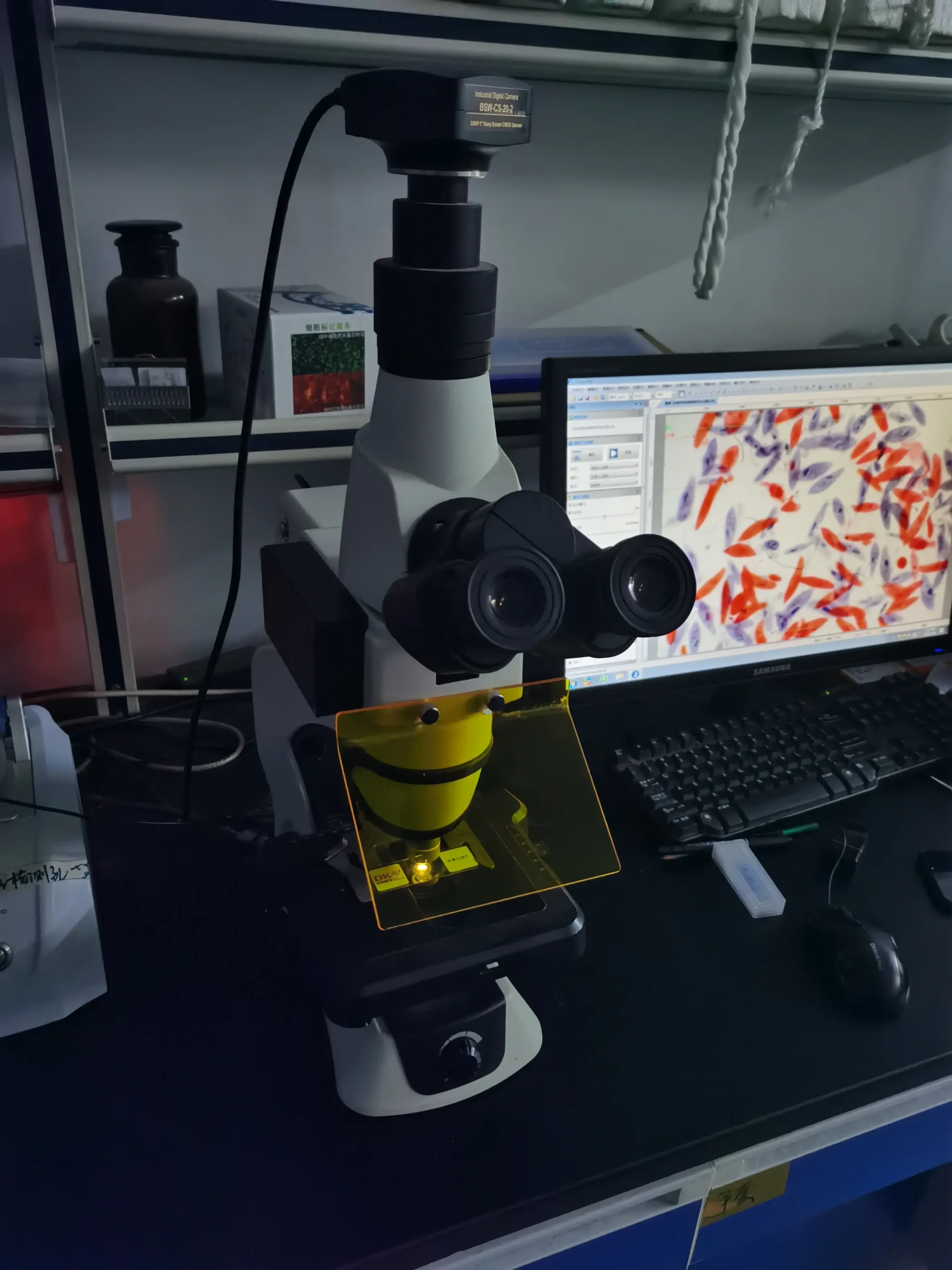 Upgrade Olympus CX33 / CX43 Microscope to LED Fluorescence