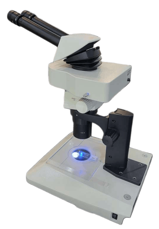 Upgrade Leica M80 Stereo Microscope to LED Fluorescence
