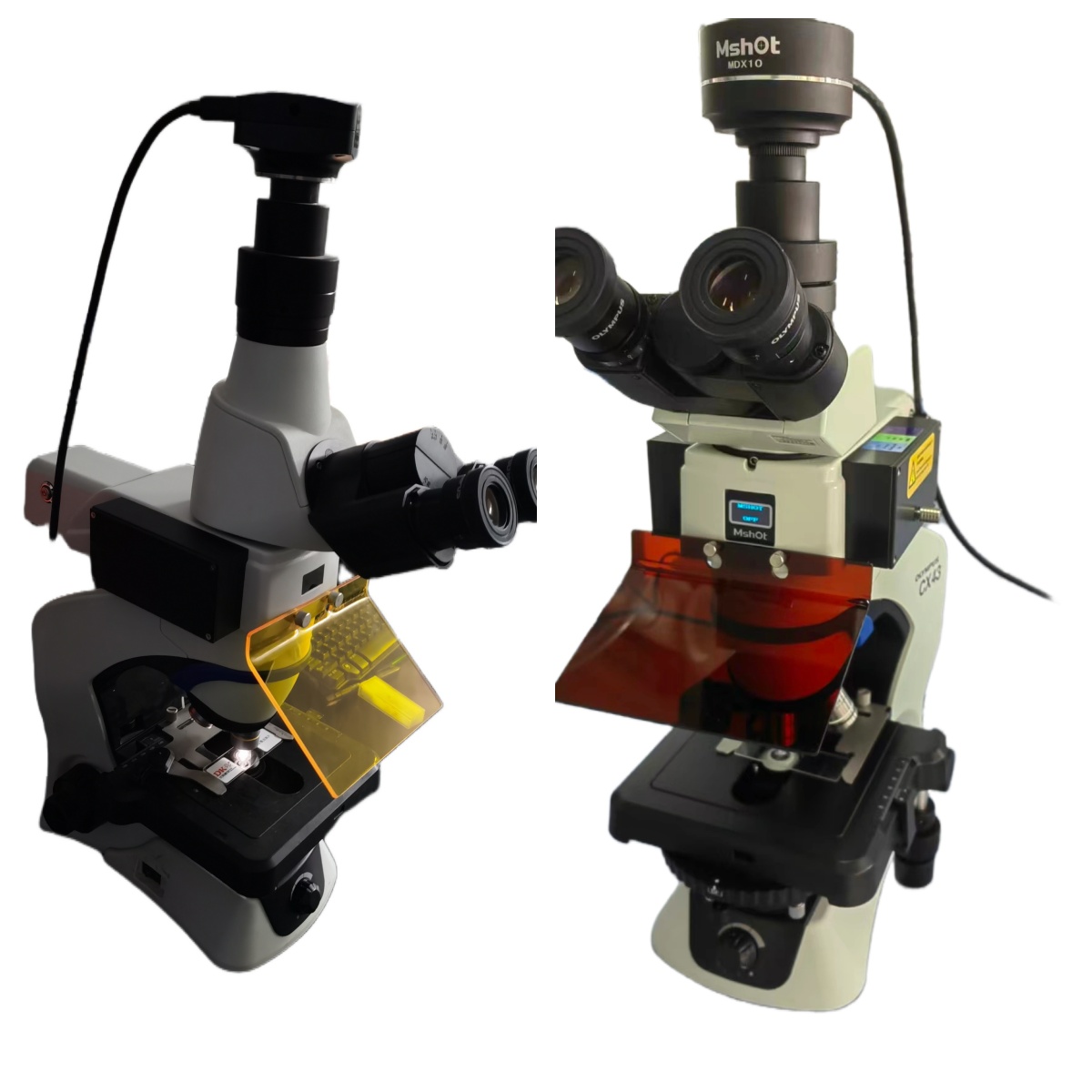 Upgrade Olympus CX33 / CX43 Microscope to LED Fluorescence