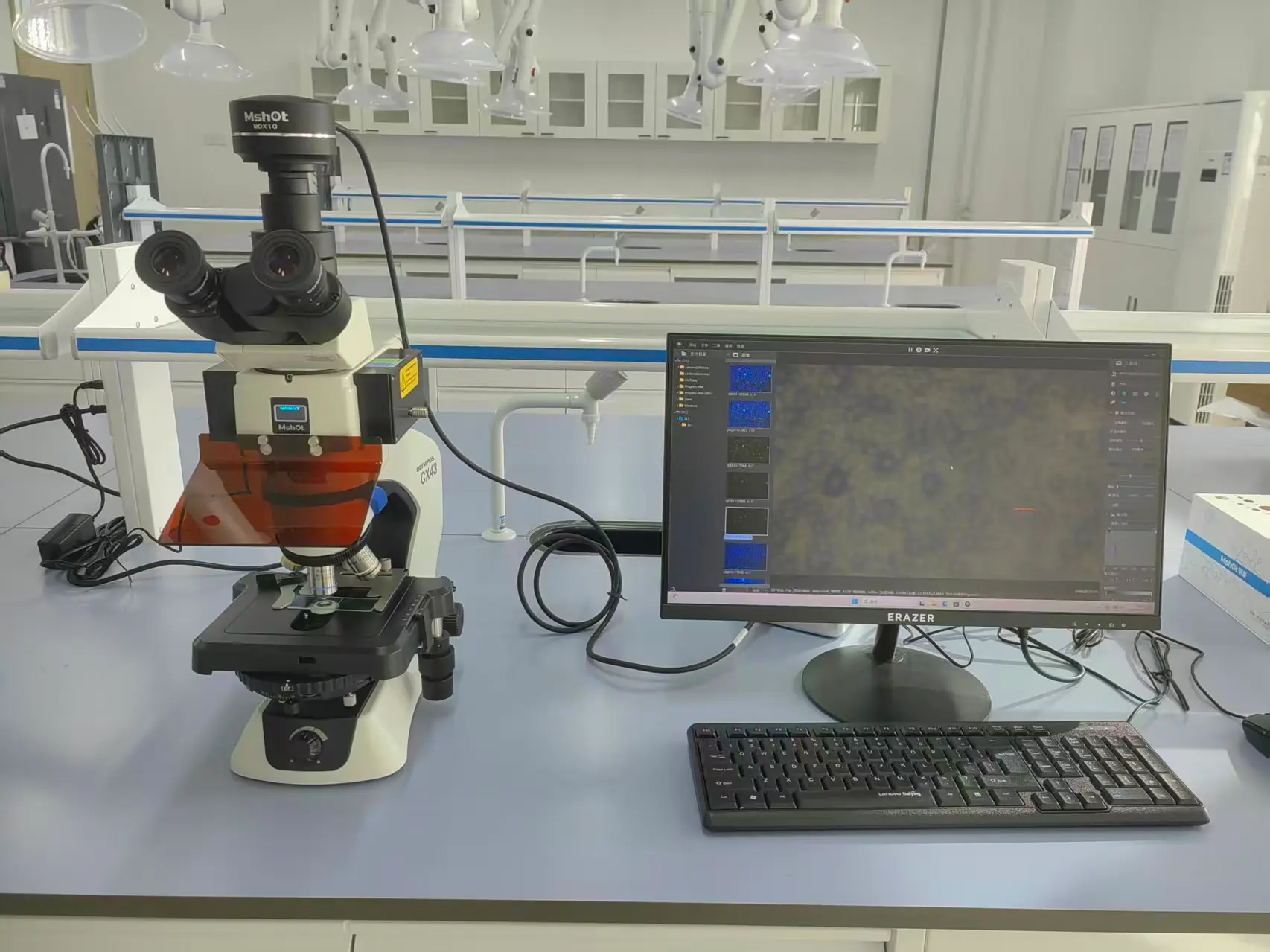 Upgrade Olympus CX33 / CX43 Microscope to LED Fluorescence