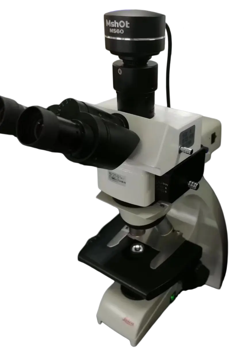Upgrade Leica DM750 Microscope to LED Fluorescence