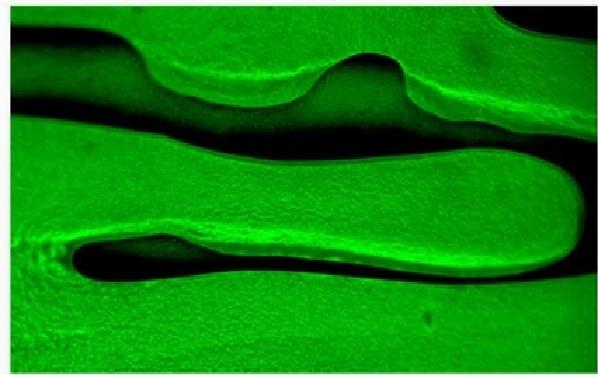 Industrial Materials and Chemical Analysis