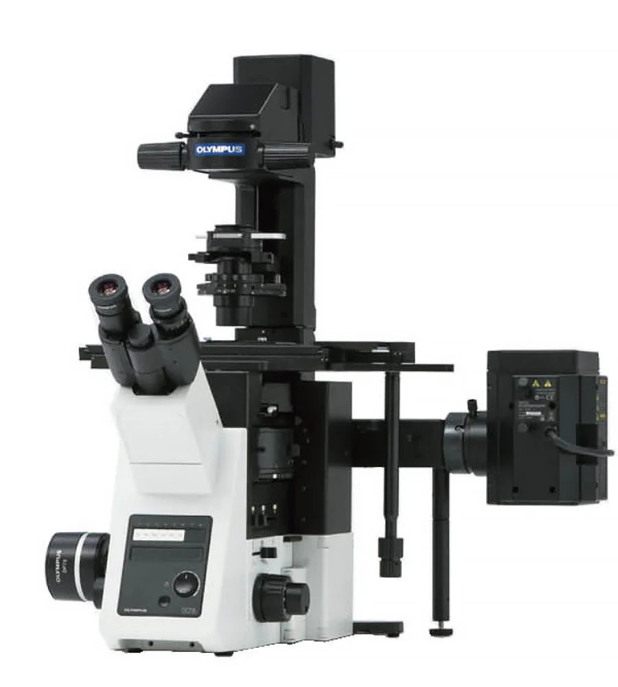 Upgrade Olympus IX73 Inverted Microscope to LED Fluorescence