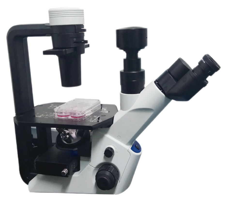 Upgrade Olympus CKX53 Inverted Microscope to LED Fluorescence